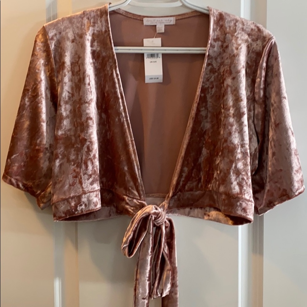 Blush colored velour cropped tie top.